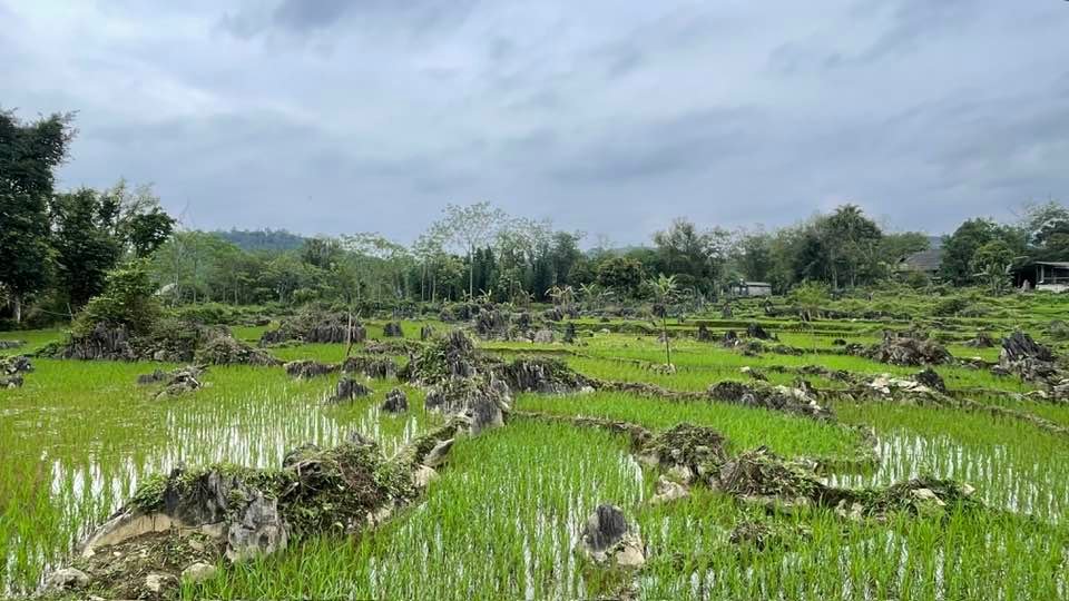 Pu Luong Bicycle Tour from Hanoi 3 Days
